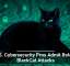 U.S. Cybersecurity Pros Admit Role in BlackCat Attacks